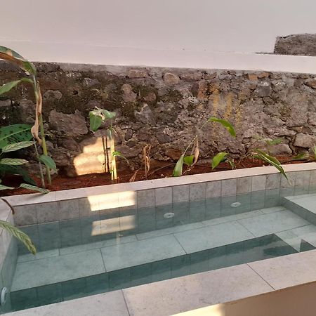 La Kaz Banian Hotel Saint Pierre Exterior photo